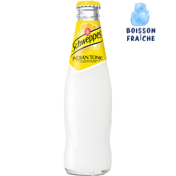 SCHWEPPES Indian Tonic 250ML